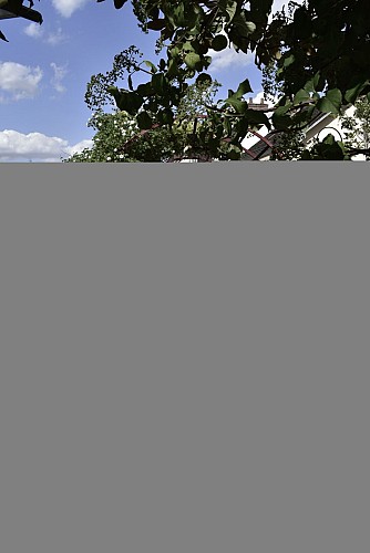 Terrasse restaurant Market Pub (1)