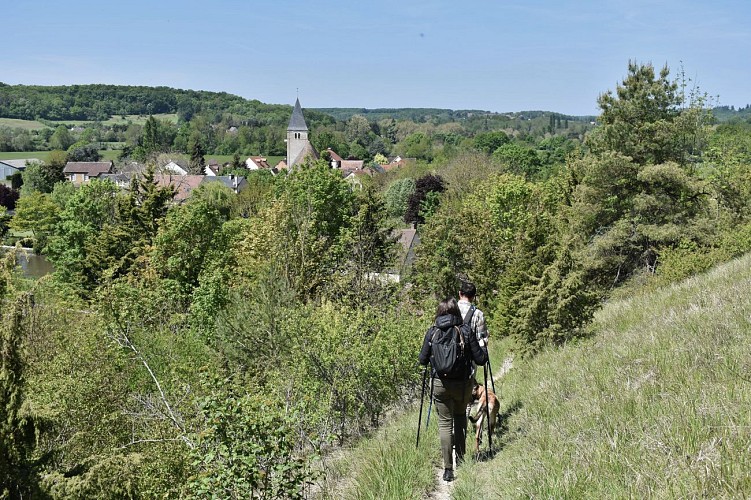 Randonnée à Montreuil