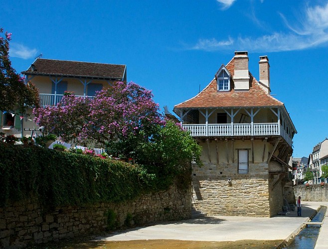 Visite guidée, Salies au fil du temps