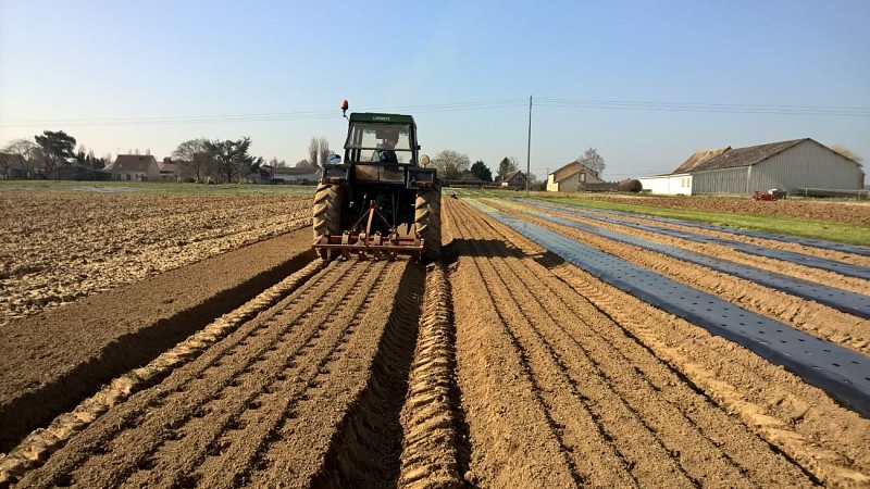 tracteur dans le champs