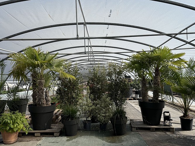 Jardins de Lutz - Crespin (2)