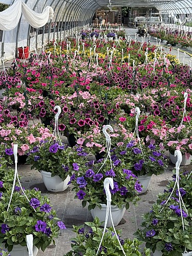 Jardins de Lutz - Crespin (3)