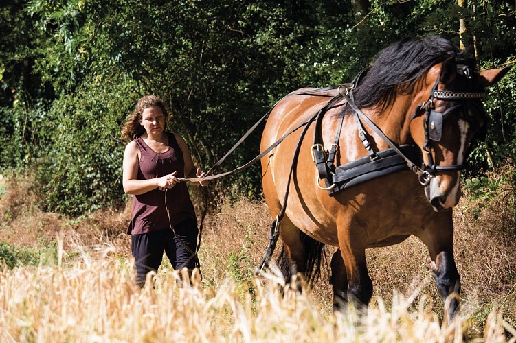 Entreprise_Agriculture_Gastelais-002