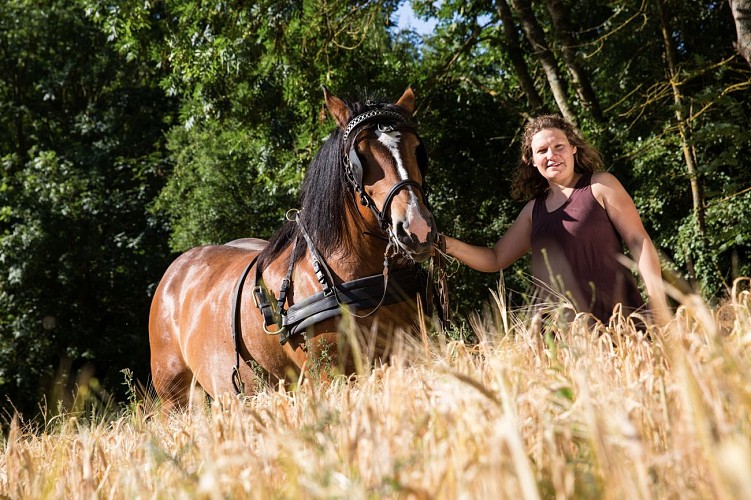 Entreprise_Agriculture_Gastelais-012