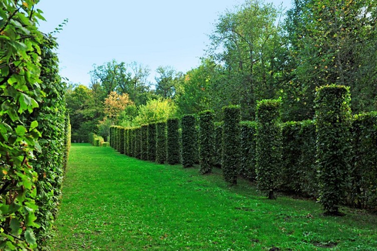 Les jardins du Château d'Hauterive