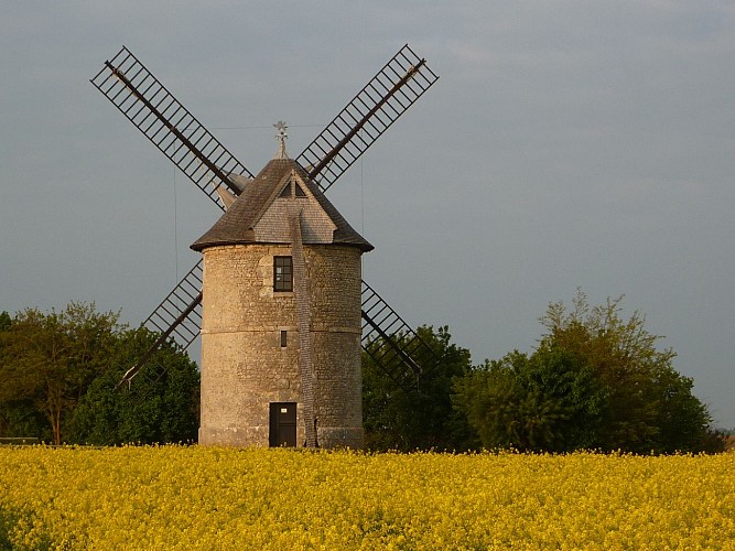 Moulin de Frouville Pensier