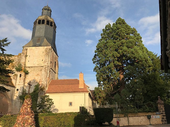 Eglise abbatiale de Thiron-Gardais