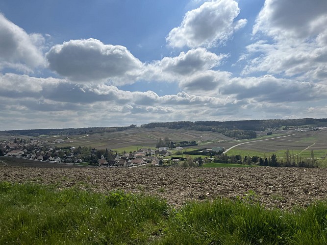 Point de vue à Grauves