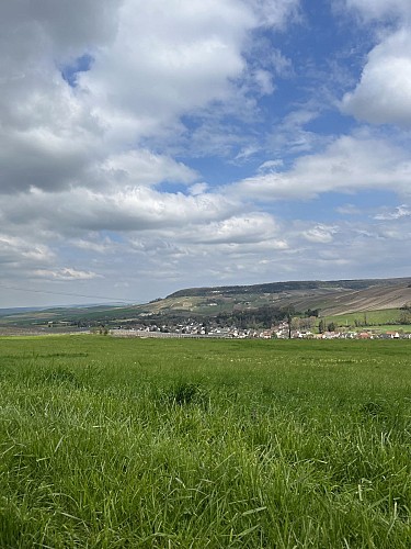 Point de vue de Morangis