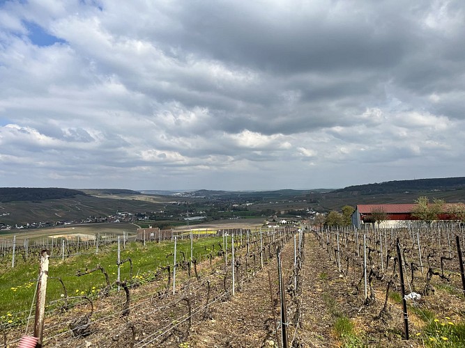 Point de vue de Brugny-Vaudancourt