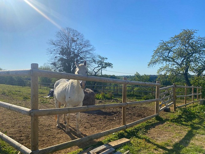 Maison Berducq Cheval
