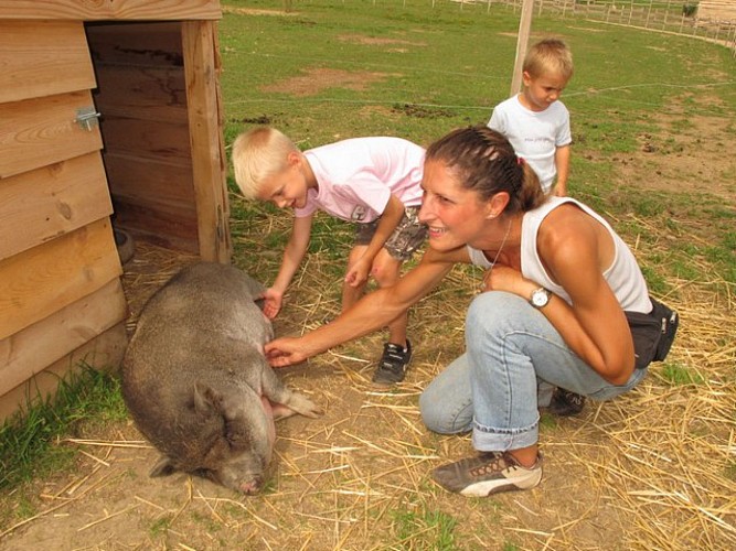Ferme de la moulerette