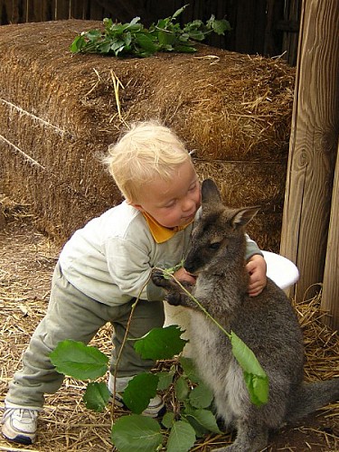 Parc aux myocastors et aux kangouroux