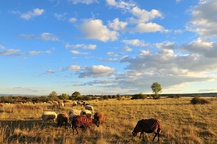 Vichel et le Pic du Montcelet (738m)