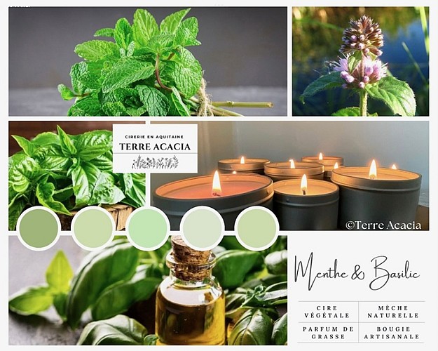 lauzun-terre_acacia-bougie_huiles_essentielles