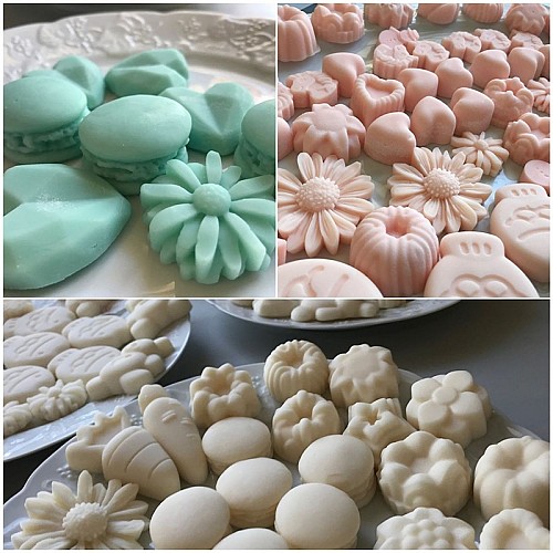 lauzun-terre_acacia-fondants