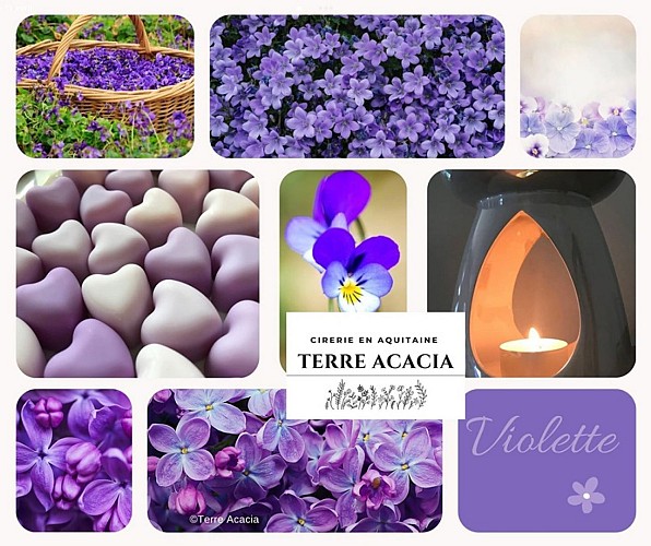 lauzun-terre_acacia-fondants-lavande
