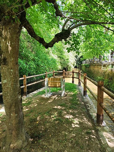 IMG_20230503_124333 7