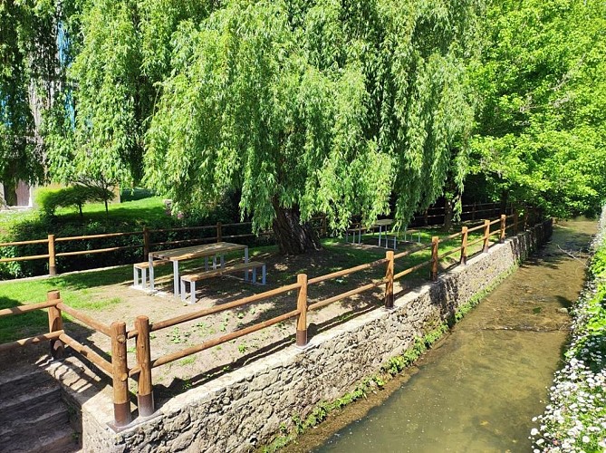 IMG_20230503_124220 10