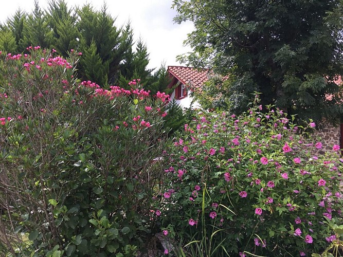 Ezpondakoborda - Fleurs