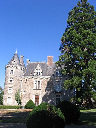 Musée château de Villevêque