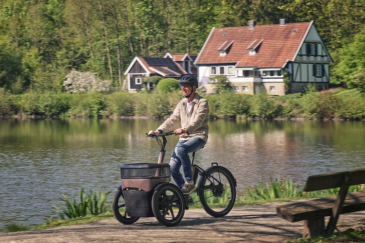 Thuja electric tricycle vanRaam