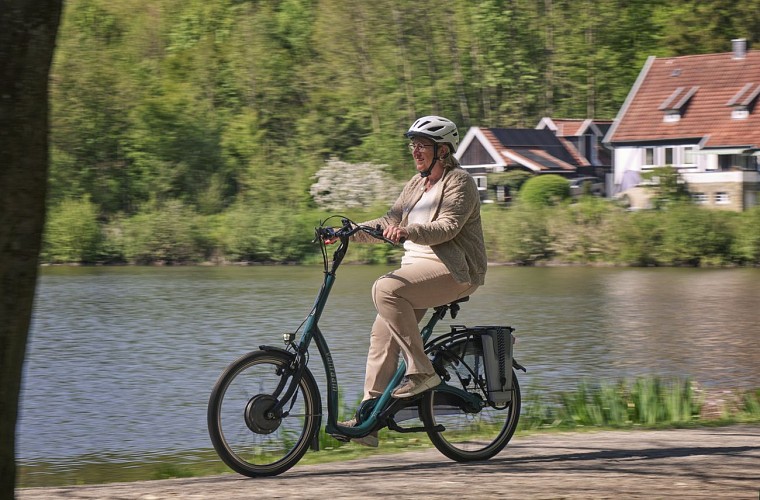 balance e-bike with low step through