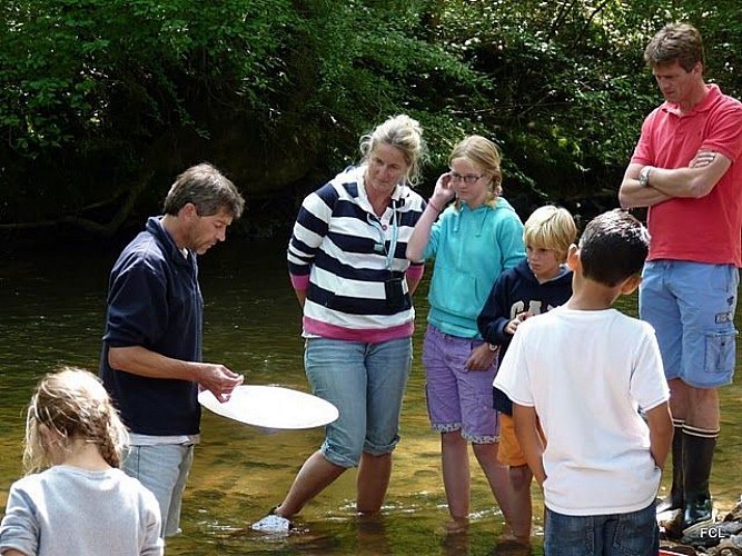 Orpaillage : chercheur d'or