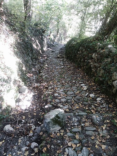 Chemin du Ciampon