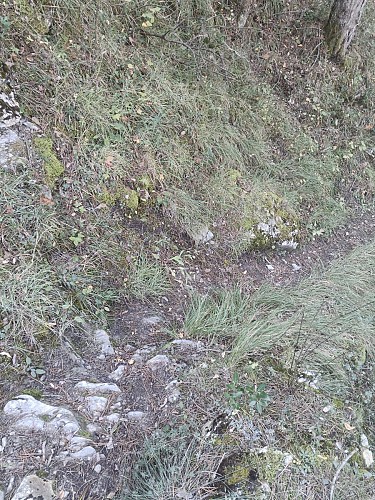 Sentier
