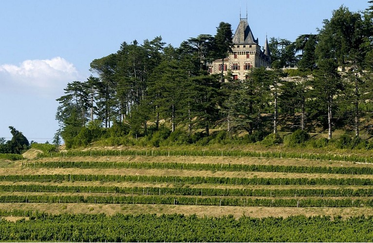 Château de Pressac et point de vue sur la vallée de la Dordogne