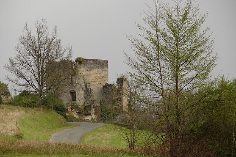 Ruines du Château Malangin