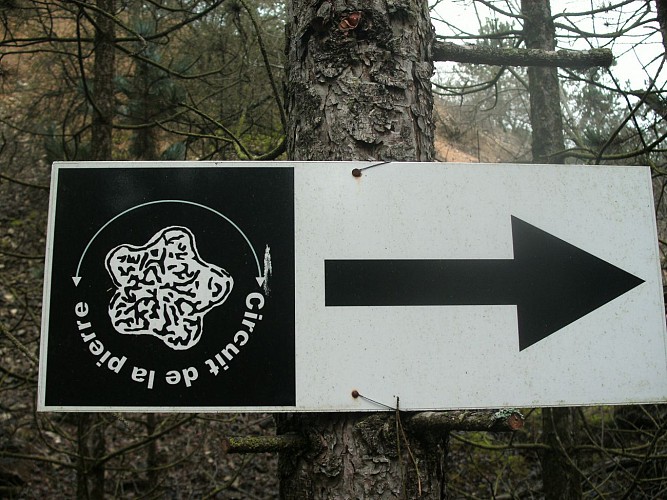 Le cimetière de pierre