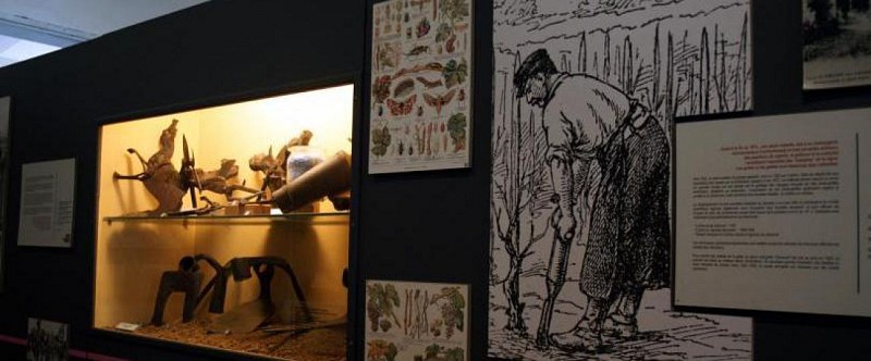 Ecomusée du Libournais