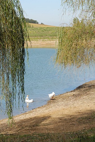 Lac de la Chêneraie