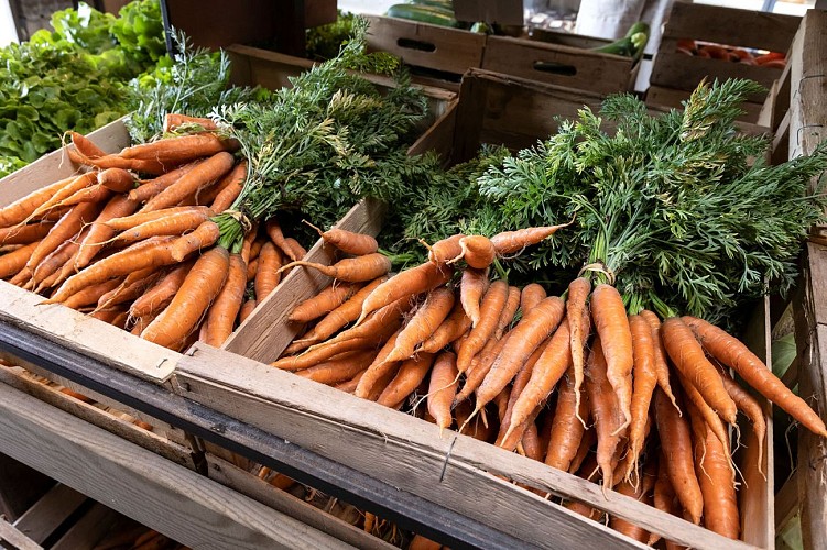 Légumes Christian Brethomé