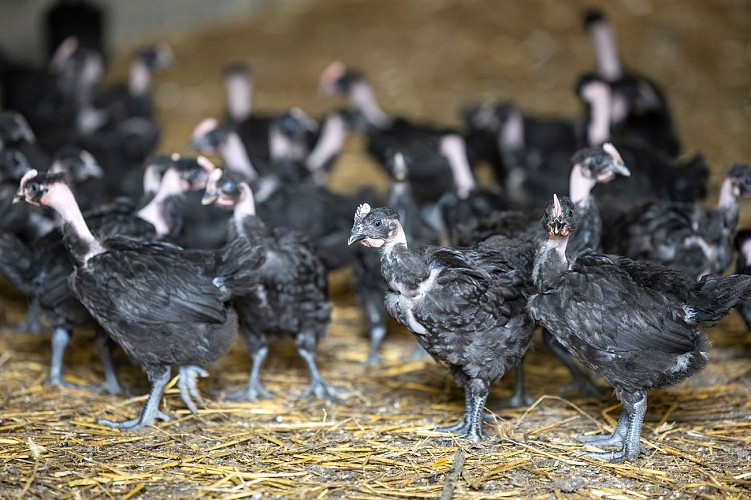 Ferme de la Couartière