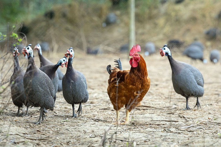 Ferme de la Couartière