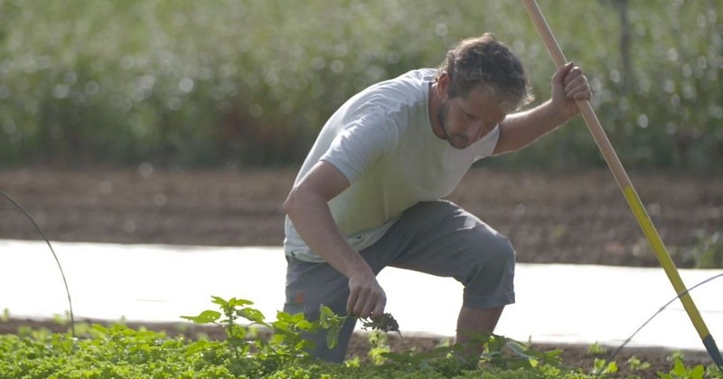 Producteur La Chouette et Co