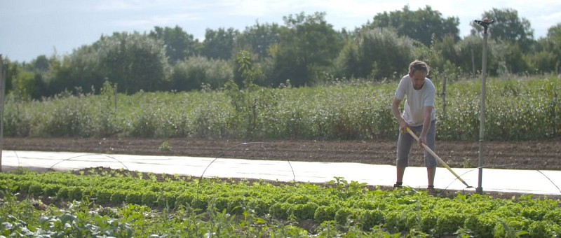 Producteur La Chouette et Co