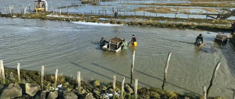 Vue drone équipe L'Huitrière de Fromentine