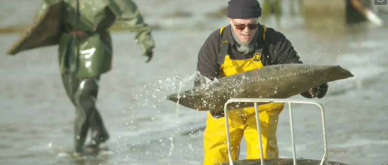 Ramassage L'Huitrière de Fromentine