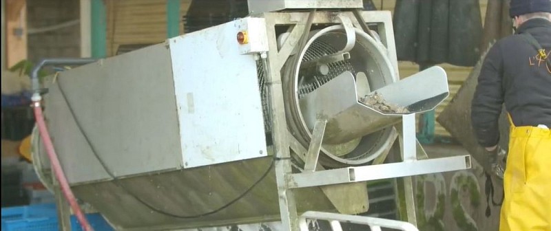 Tri huitres L'Huitrière de Fromentine