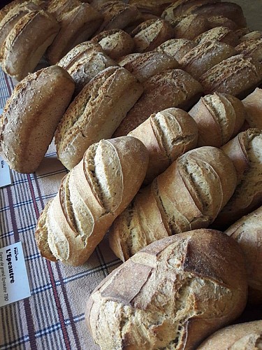 amap les radis demasques - pains sur etal