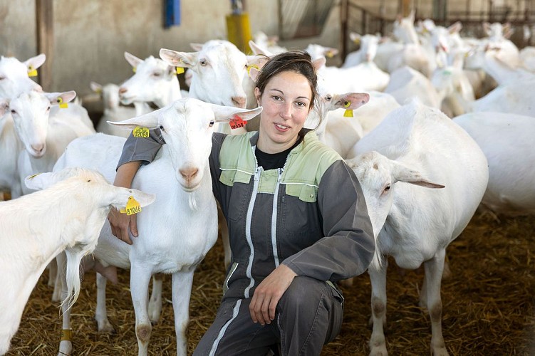 Productrice Ferme des Ptits Caprices