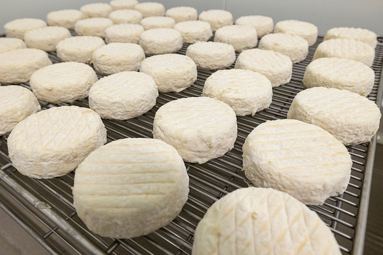 Fromage de chèvre Ferme des Ptits Caprices