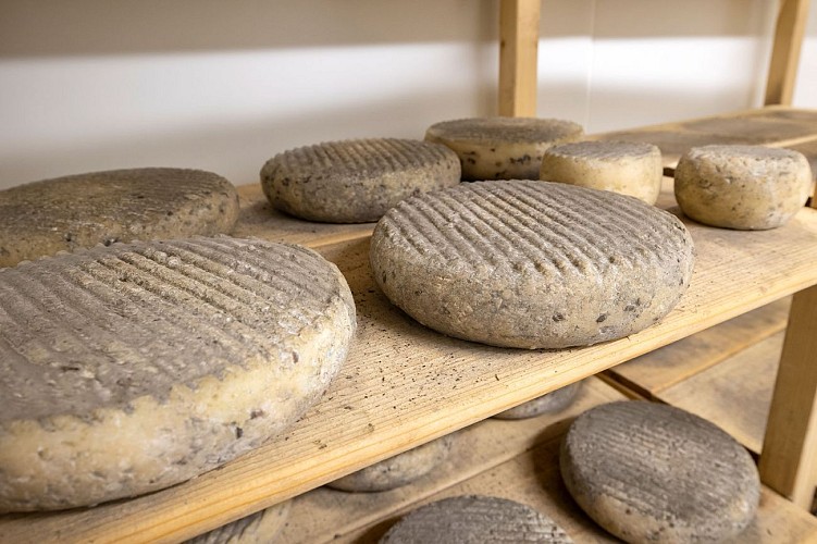 Fromages de chèvre Ferme des Ptits Caprices