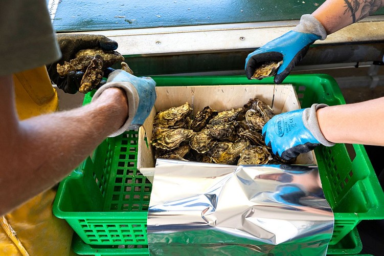 Emballage Huitres David