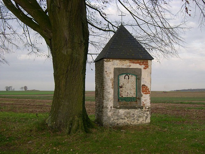 25117-INV-0032-02-PHOT-01-01