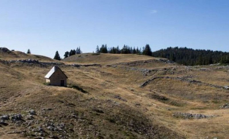 Cabane du Jasse du Play (fonctionnel) /! au monde